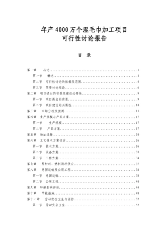 山东XX生物科技有限公司年产4000万个湿毛巾加工项目可行性研究报告