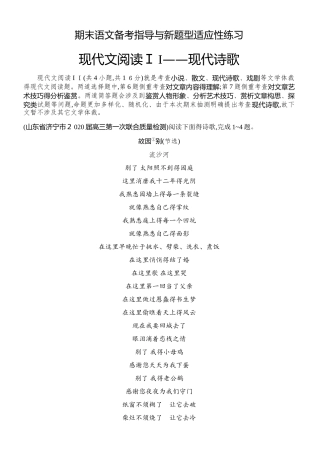 山东新高考语文现代文阅读II 练习