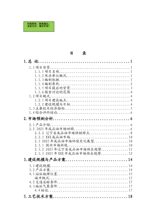 山东省XX汽车加油站新建项目可行性研究报告