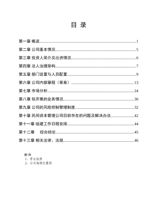 山东省某某民间资本管理有限公司设立可行性研究报告书