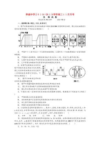 山西省晋中市和诚高中2025届高三生物11月月考试题