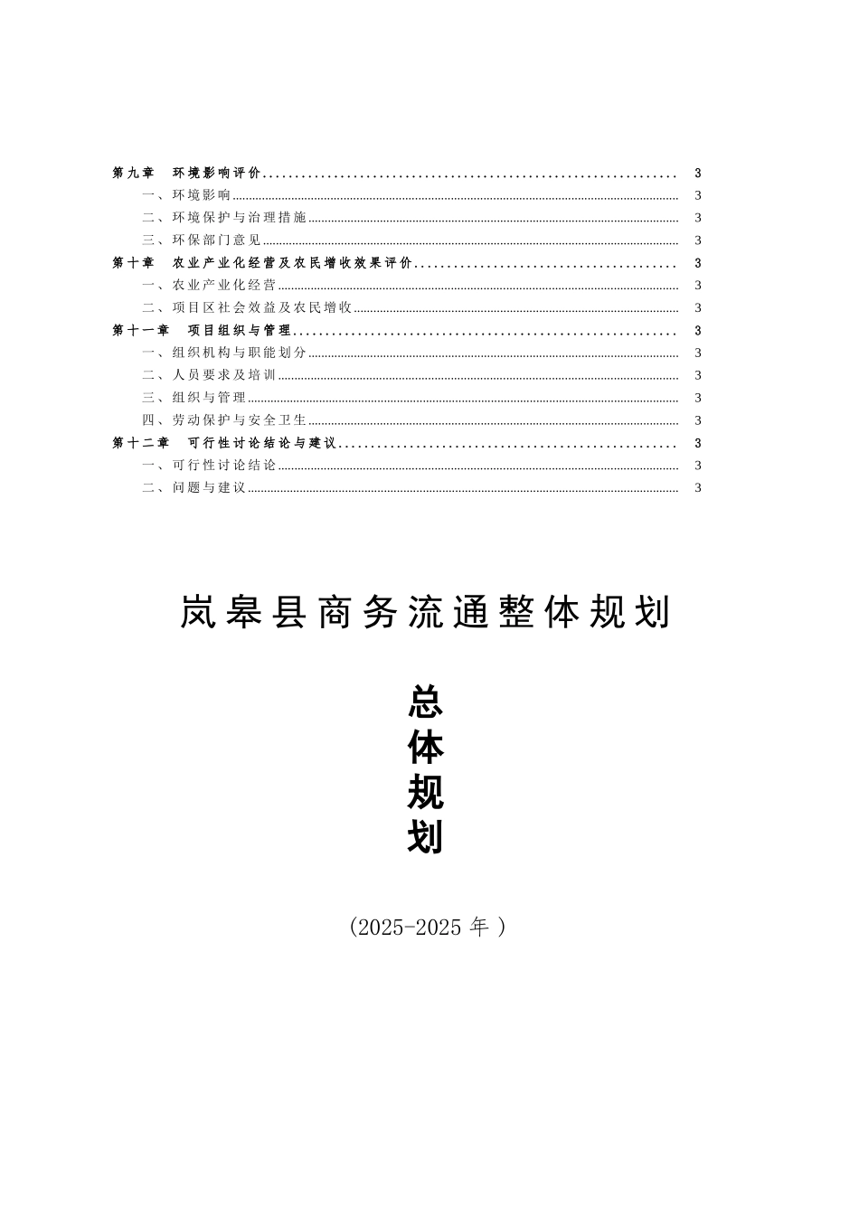 岚皋商务流通整体发展规划_第2页
