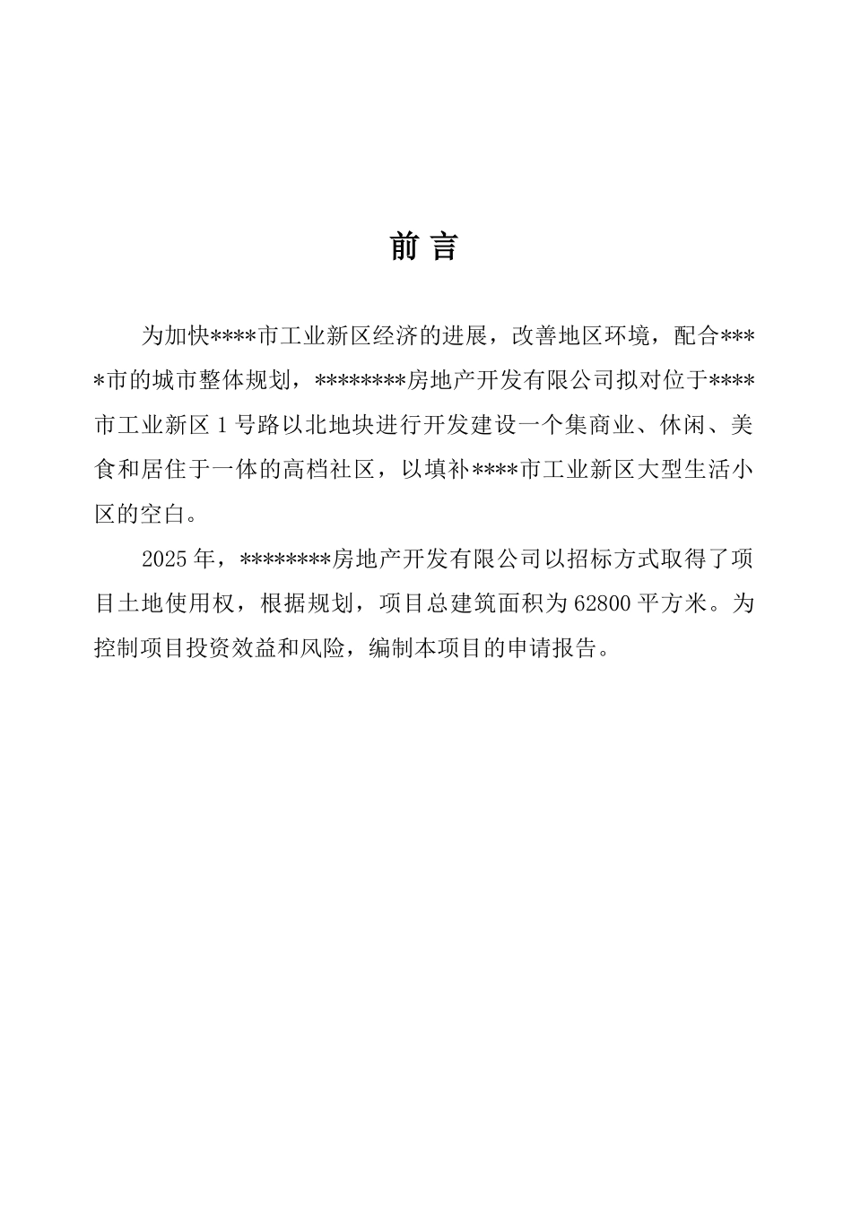 工业新区商务港项目资金可行性研究报告_第2页
