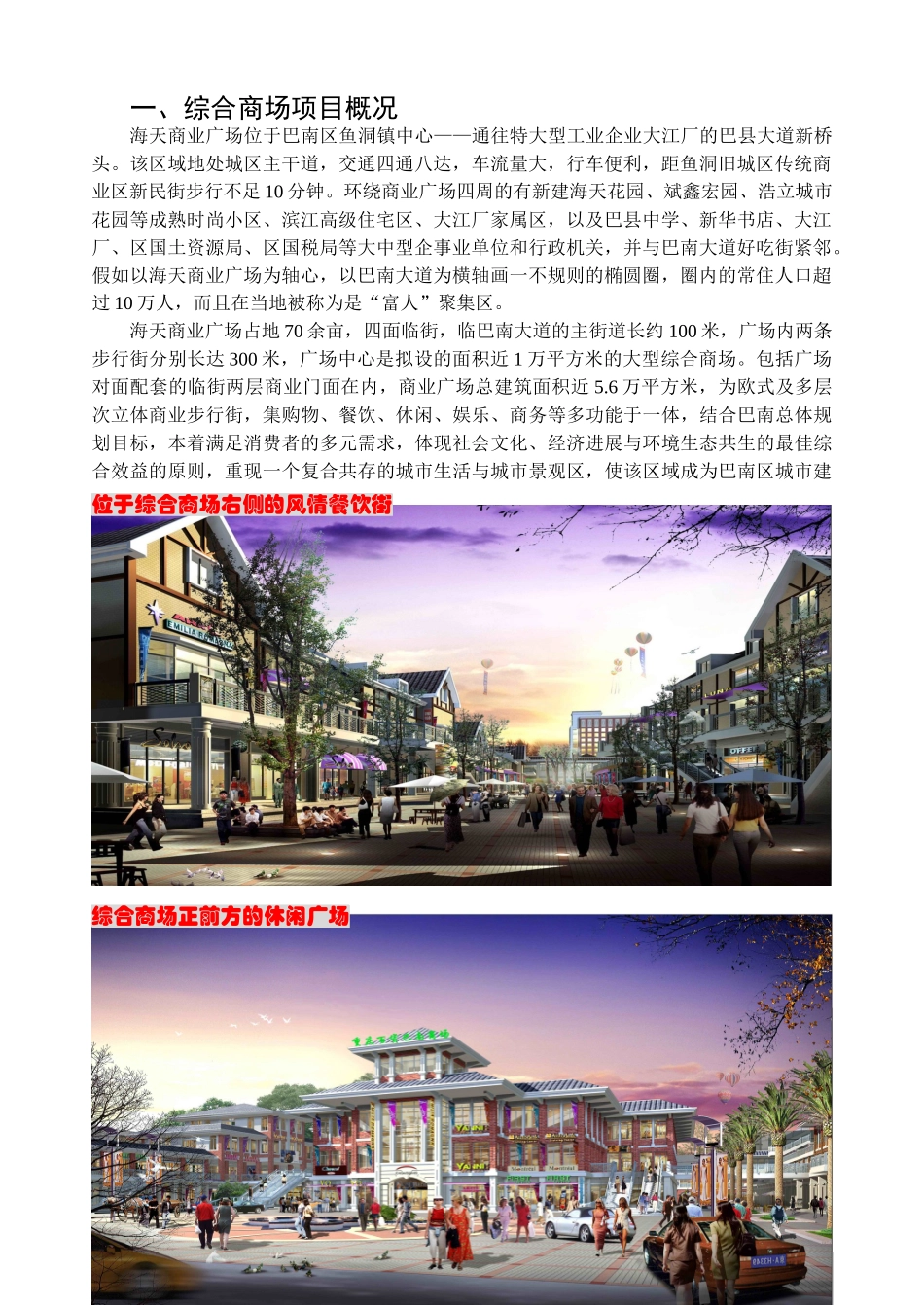 巴南海天商业广场综合商场设立可行性研究报告_第3页