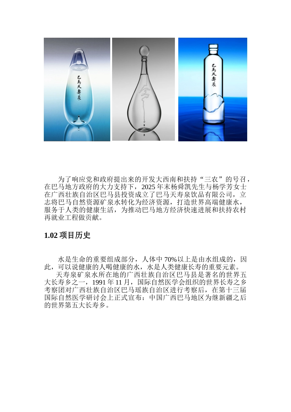 巴马天寿矿泉水项目说明书_第3页