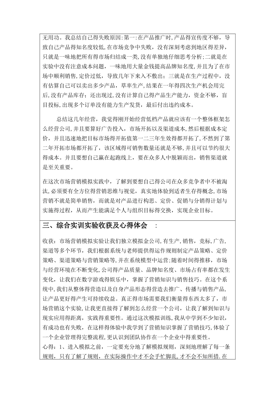 市场营销模拟实训报告_第3页