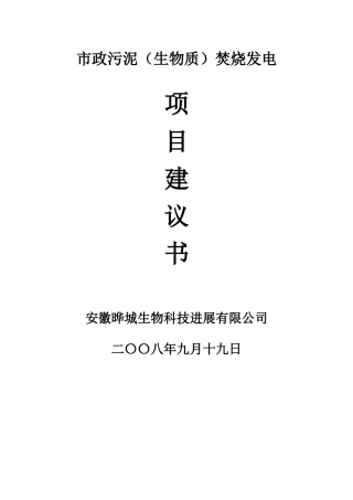 市政污泥焚烧发电项目可行性计划书