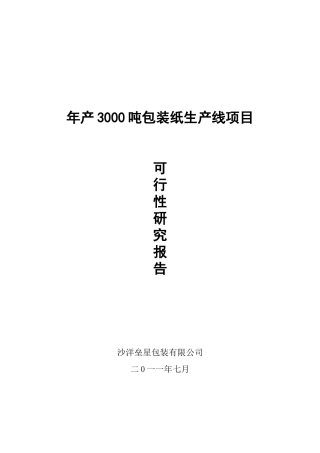 年3000吨包装纸生产线工程申请报告