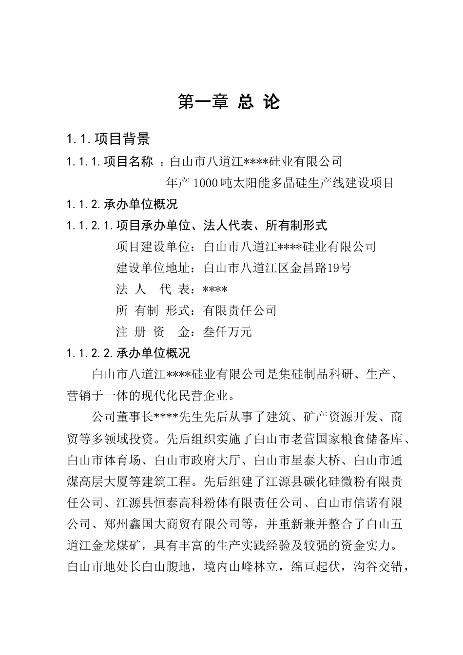 年产1000吨太阳能多晶硅生产线建设项目可行性研究报告1_第2页