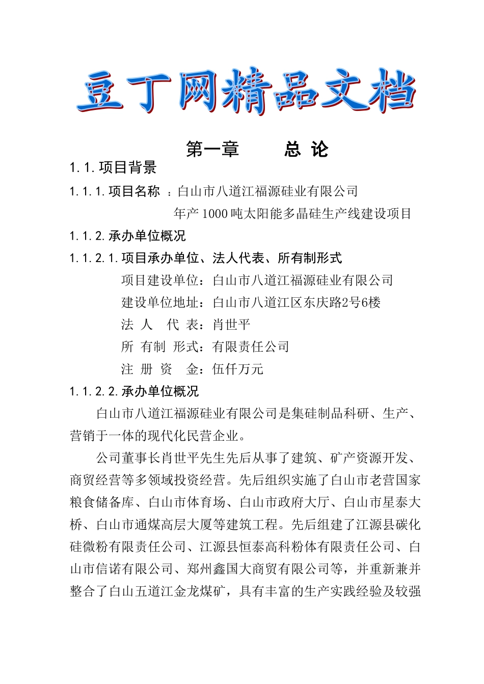 年产1000吨太阳能多晶硅生产线建设项目可行性研究报告_第2页