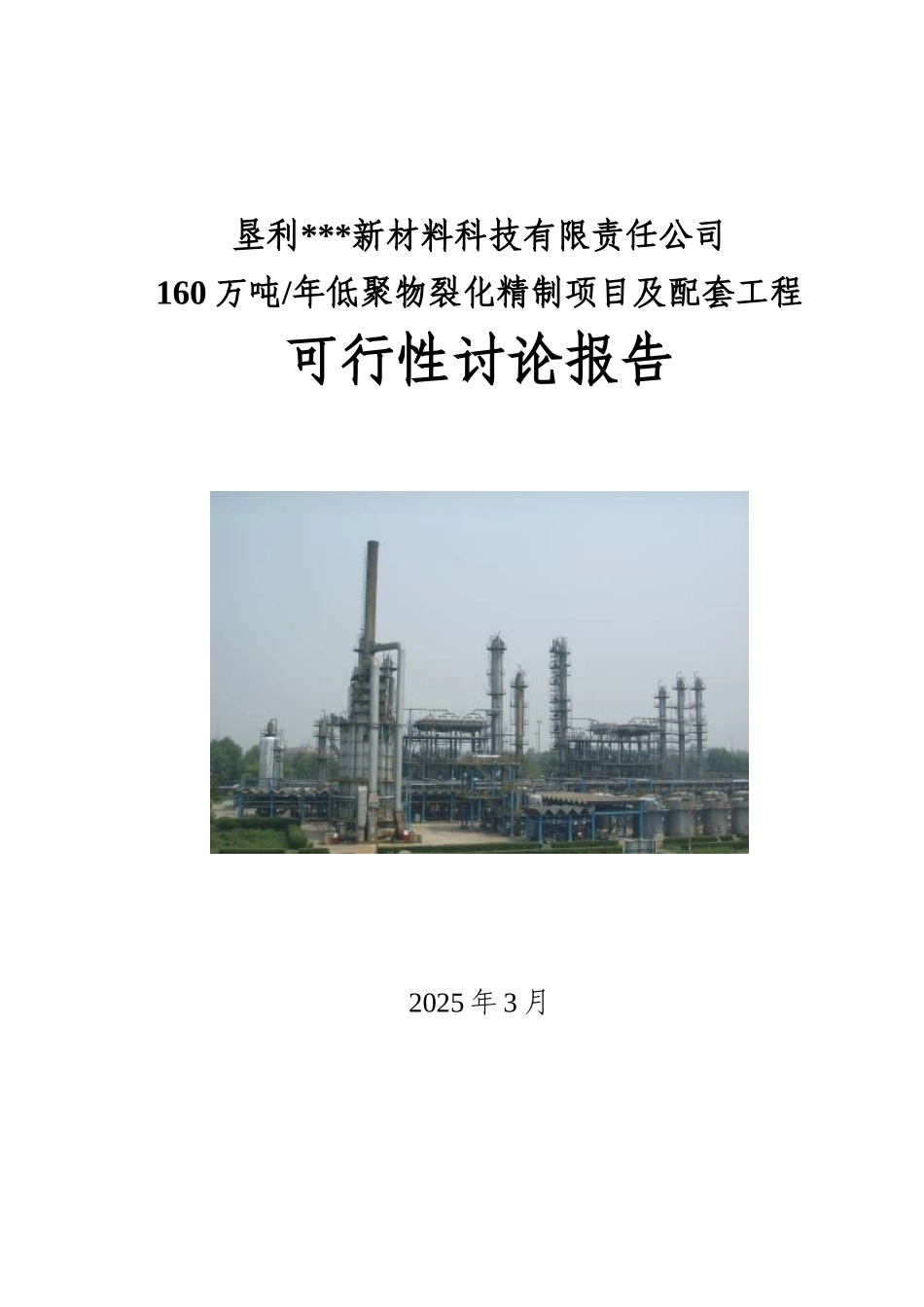 年产160万吨低聚物裂化精制项目及配套工程可行性研究报告_第2页