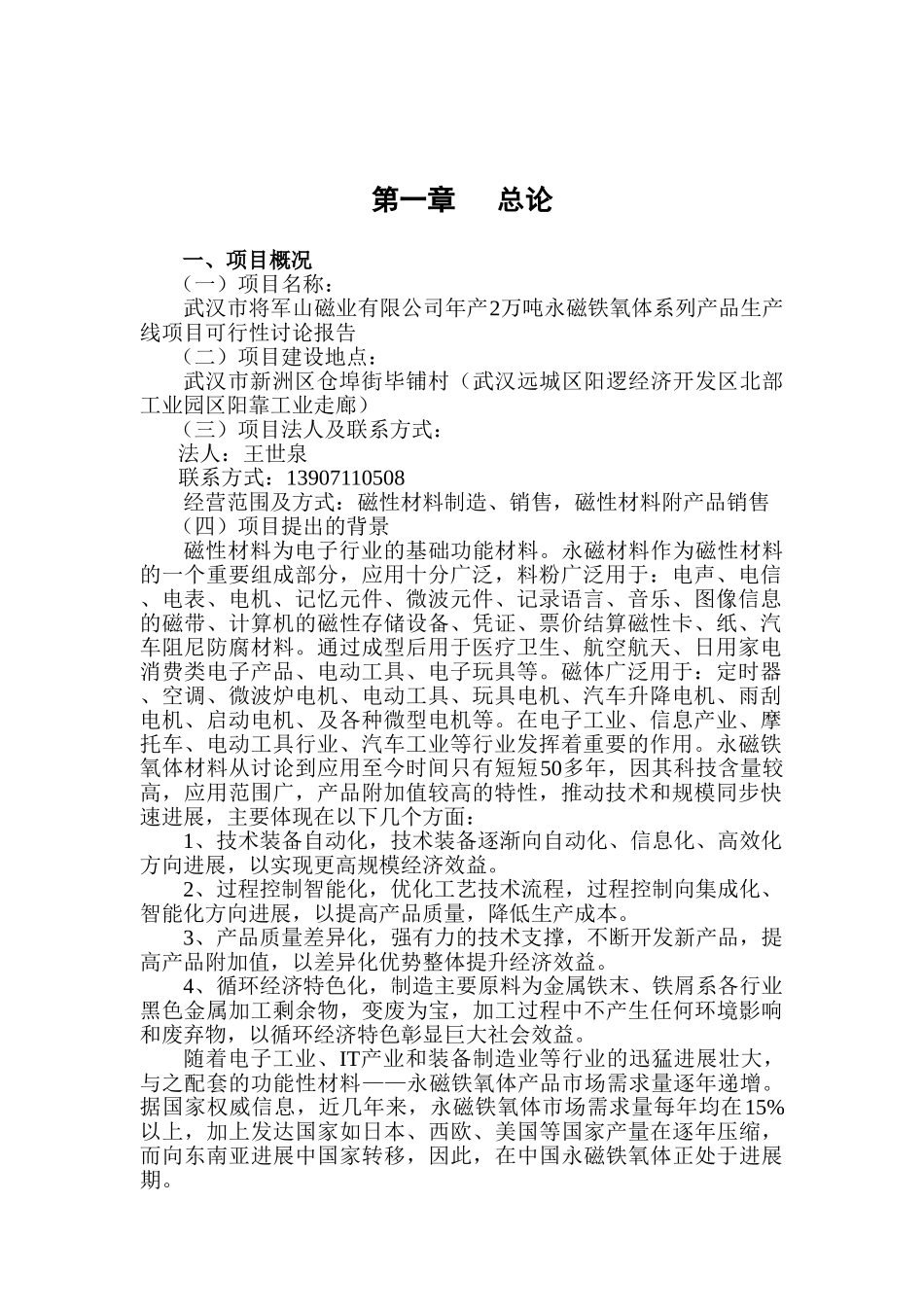 年产2万吨永磁铁氧体系列产品生产线项目可行性研究报告_第2页
