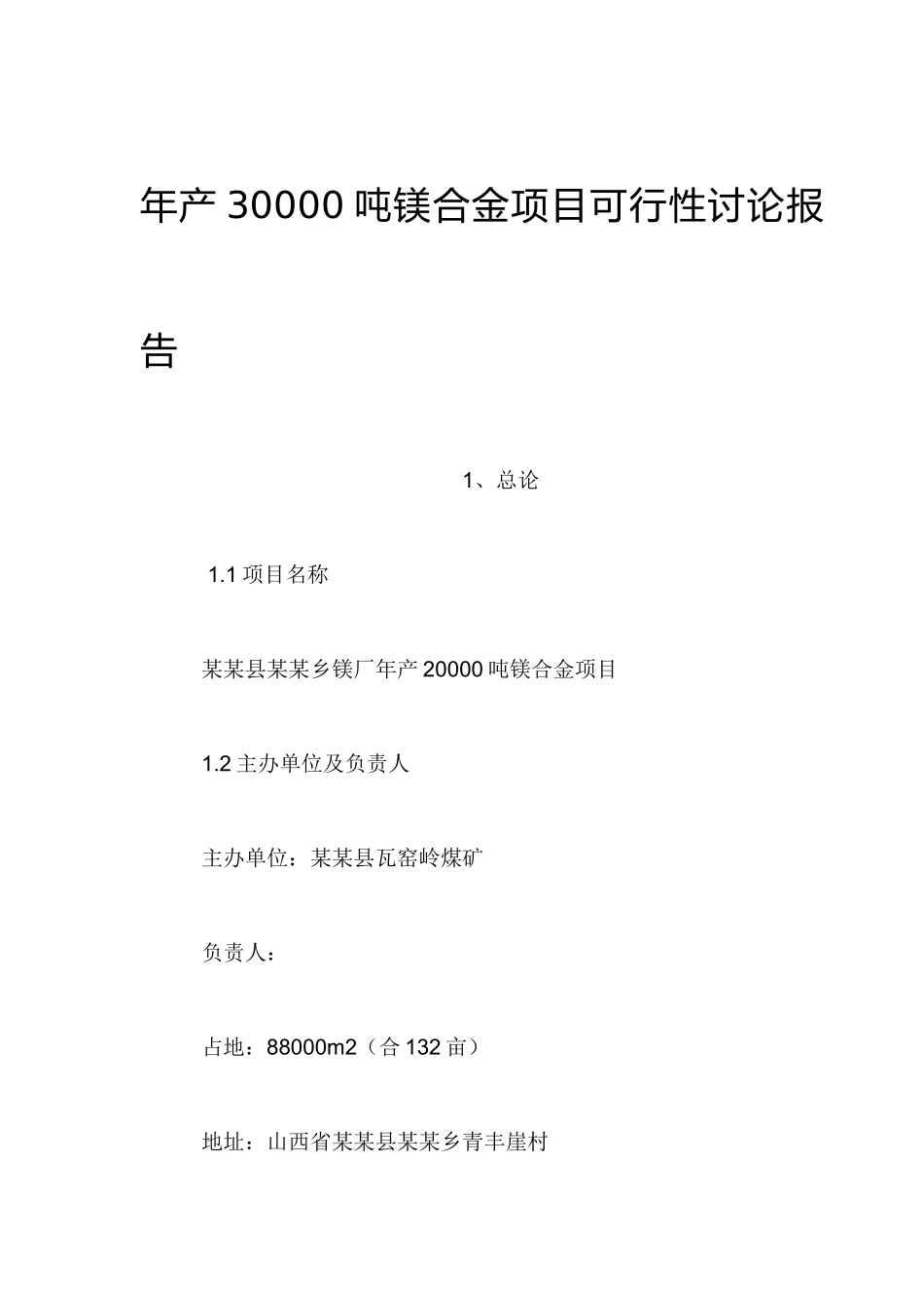 年产30000吨镁合金项目可行性研究报告_第2页