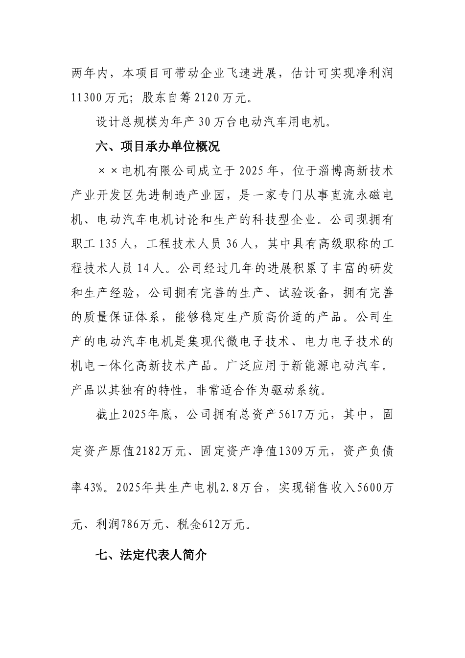 年产30万台电动汽车电机项目可行性研究报告_第3页