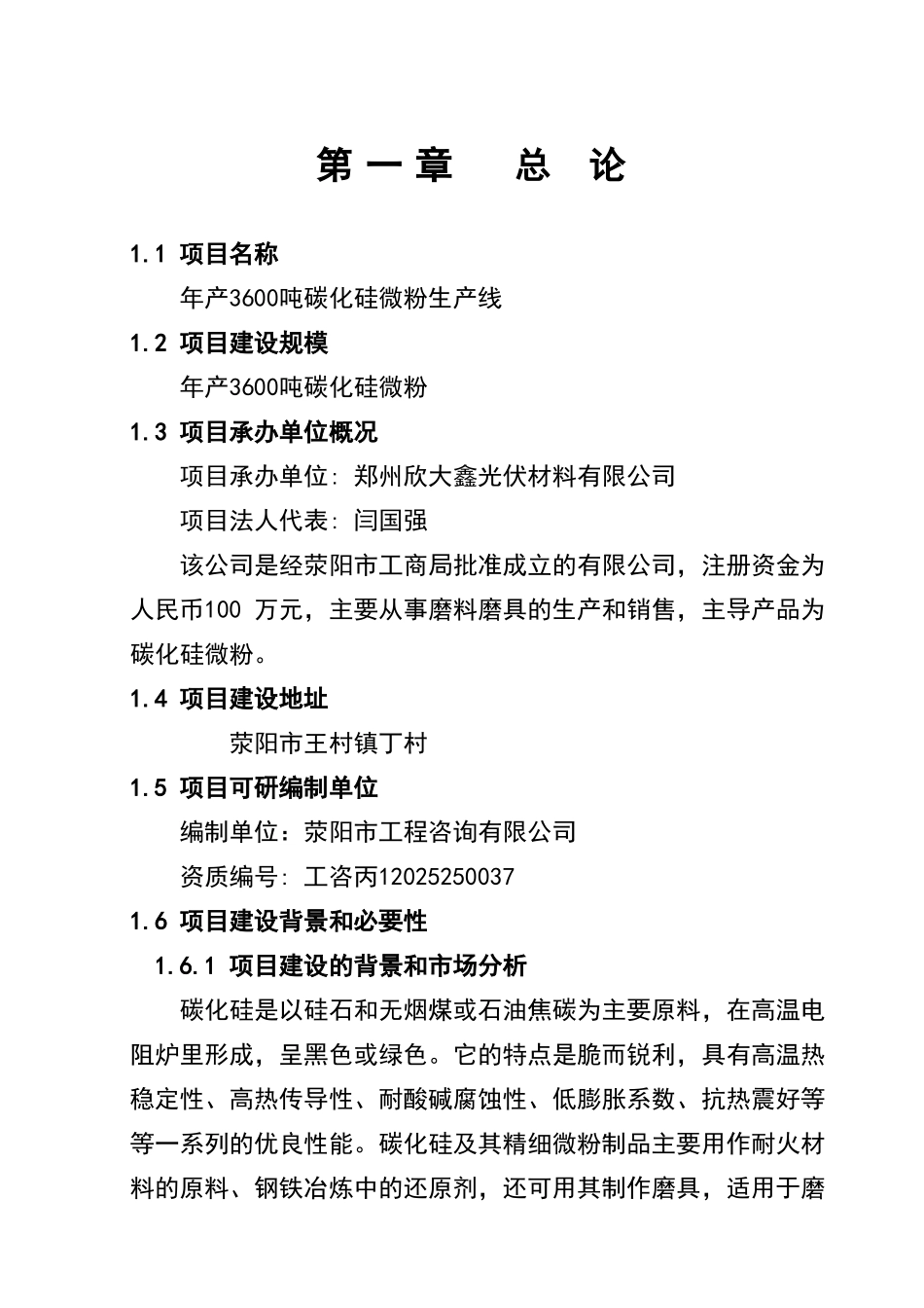 年产3600吨碳化硅微粉生产线项目可行性研究报告_第2页