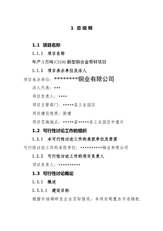 年产3万吨c5191新型铜合金带材项目可行性研究报告书