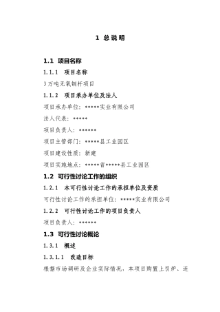 年产3万吨无氧铜杆生产线项目可行性研究报告书