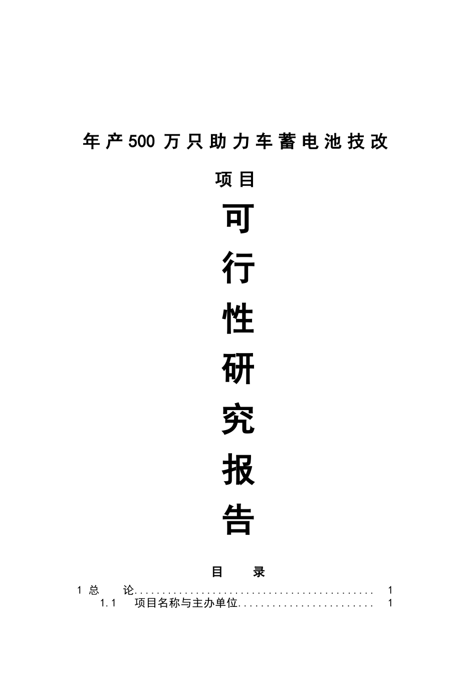 年产500万只电动助力车用铅酸蓄电池可行性研究分析报告_第2页