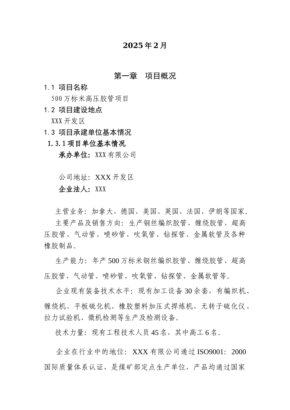 年产500万米高压胶管建设项目可行性研究报告_第3页