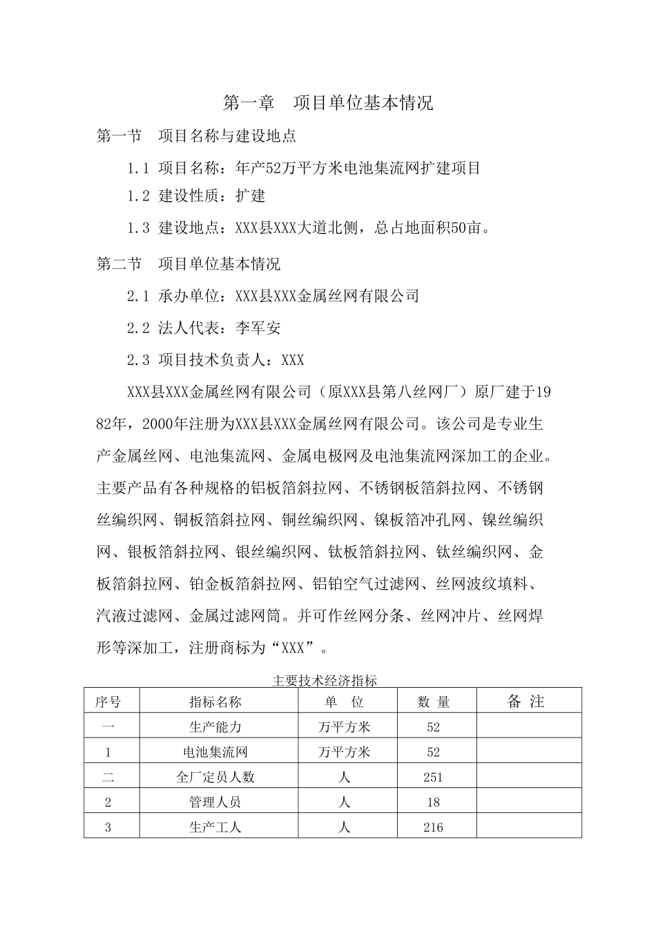 年产52万平方米电池集流网扩建项目可行性研究报告_第3页
