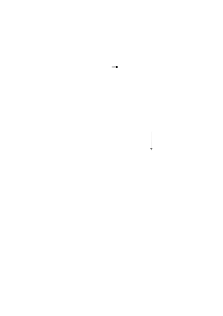 年产60万吨玉米深加工项目可研报告