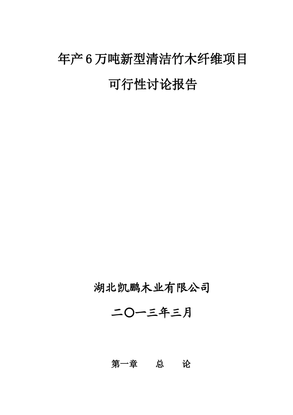 年产6万吨新型清洁竹木纤维项目可行性研究报告_第2页
