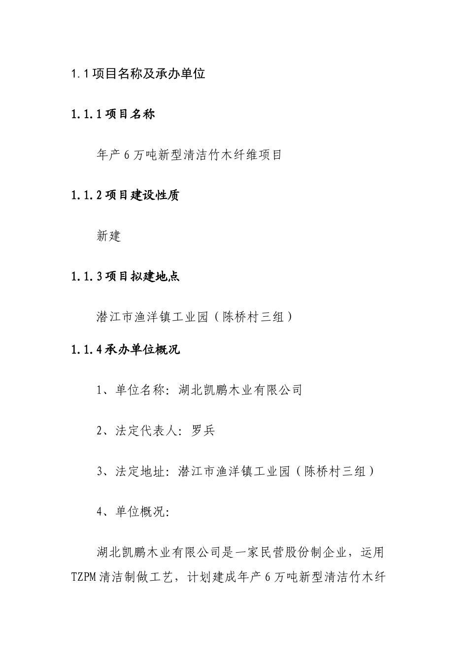 年产6万吨新型清洁竹木纤维项目可行性研究报告_第3页
