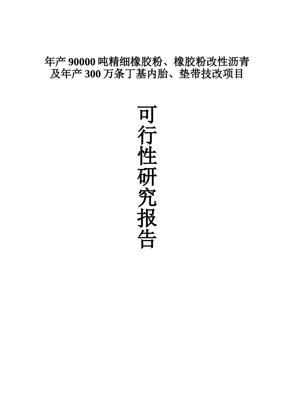 年产90000吨精细橡胶粉、橡胶粉改性沥青及年产300万条丁级内垫带技改建设项目可行性研究报告_第2页