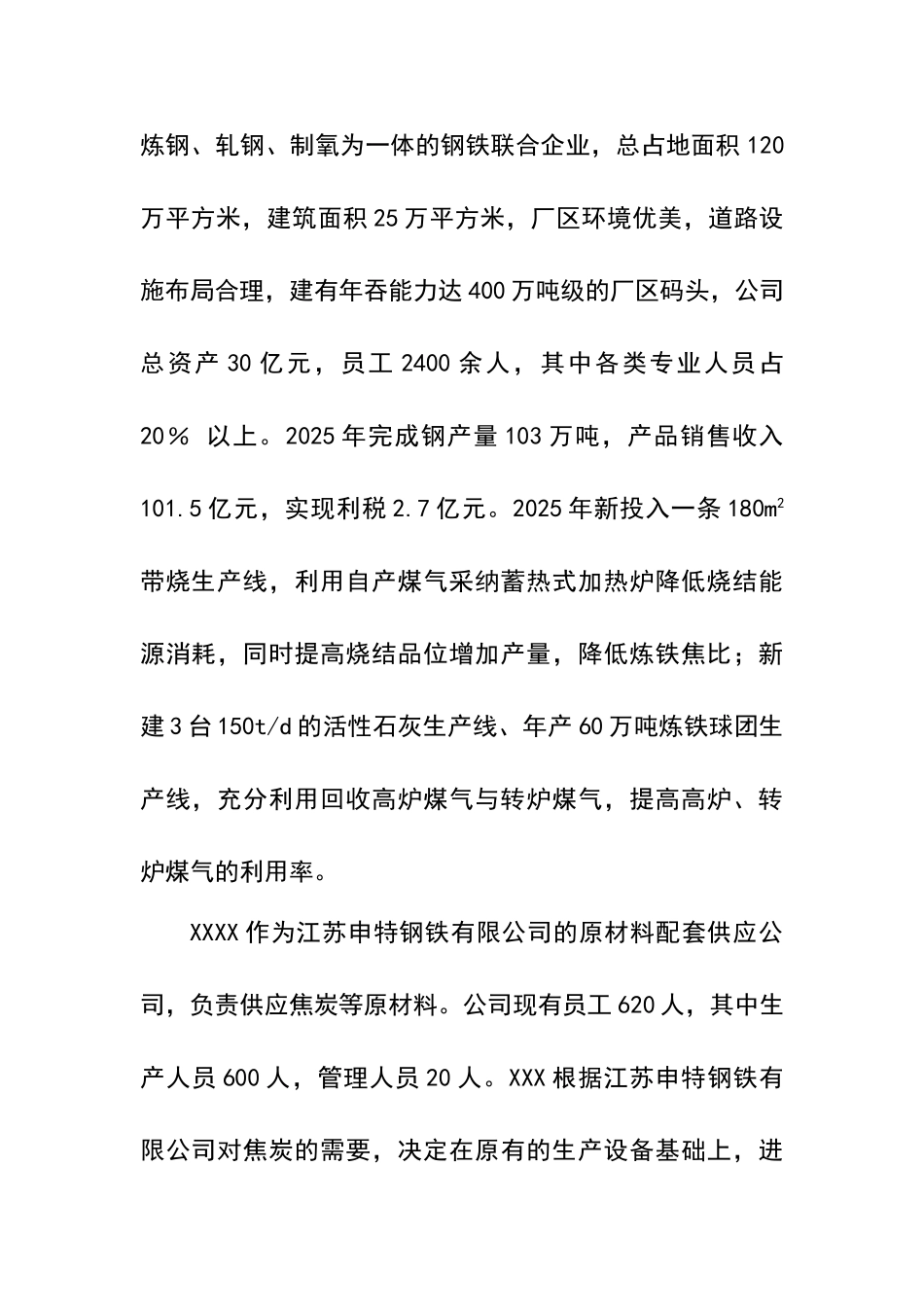年产96万吨捣固焦技改项目可行性研究报告_第3页