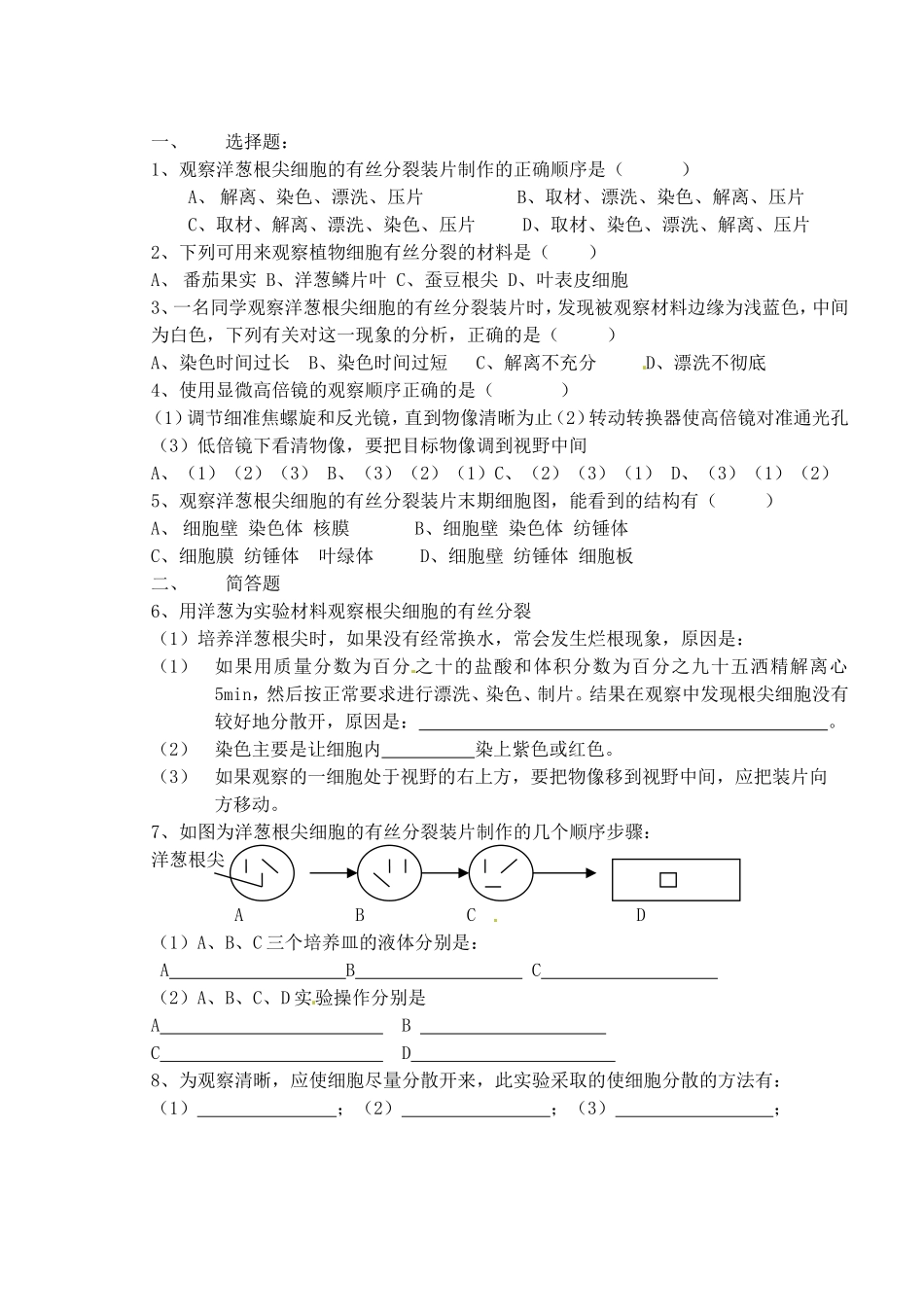 高考生物 第二章 第二节 实验三 观察植物细胞的有丝分裂学案-人教版高三全册生物学案_第2页