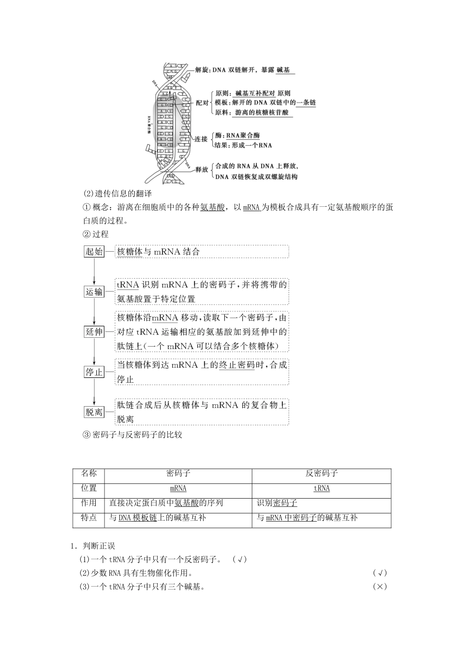 （全国版）高考生物一轮复习 第6单元 遗传的分子基础 第3讲 基因的表达学案-人教版高三全册生物学案_第2页