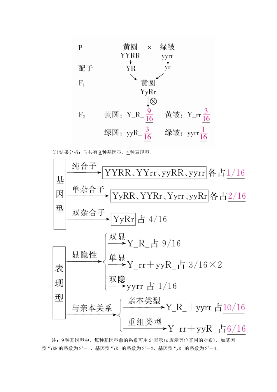 （全国版）高考生物一轮复习 第16讲 基因的自由组合定律培优学案-人教版高三全册生物学案_第2页
