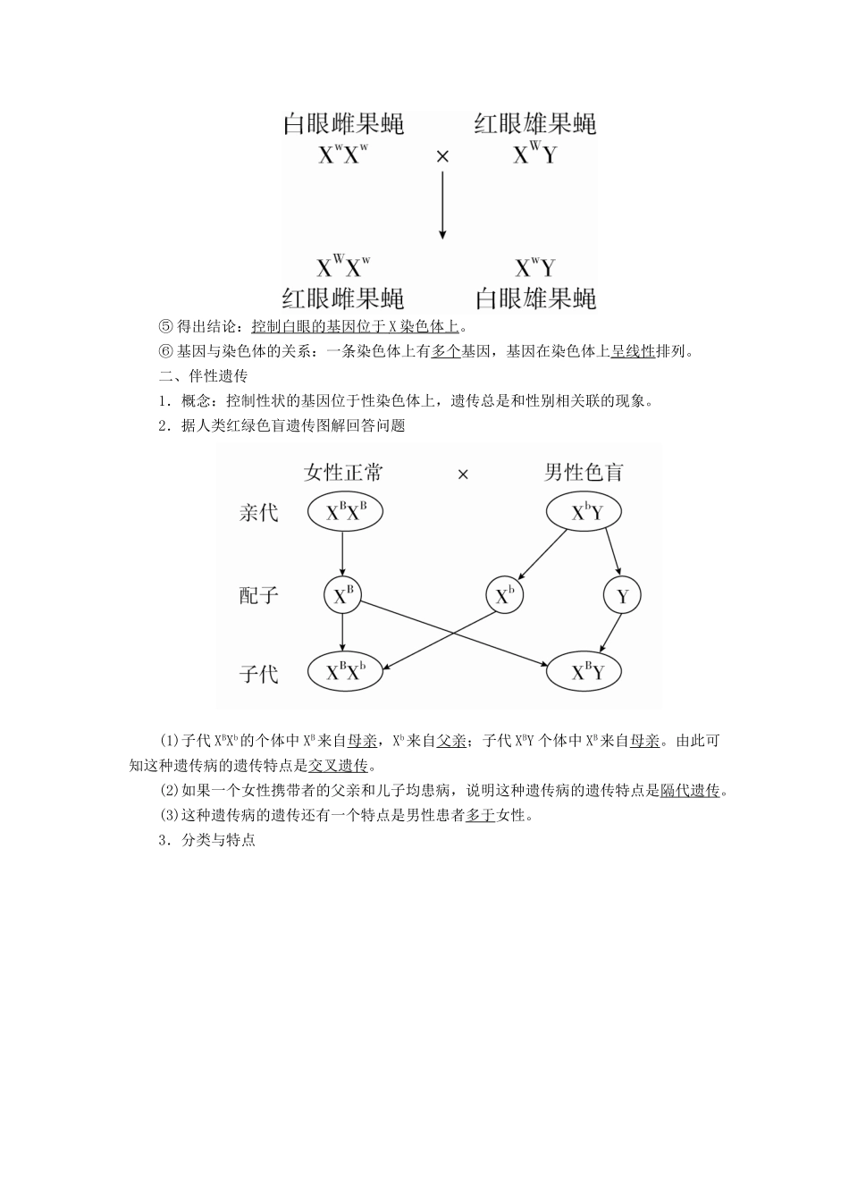 （全国版）高考生物一轮复习 第17讲 基因在染色体上和伴性遗传培优学案-人教版高三全册生物学案_第3页