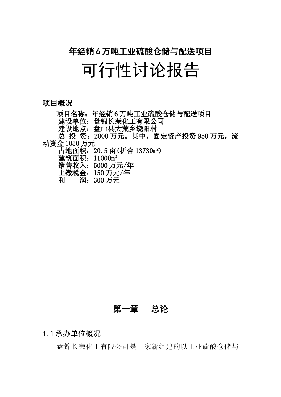 年经销6万吨工业硫酸仓储与配送项目可行性研究报告_第2页