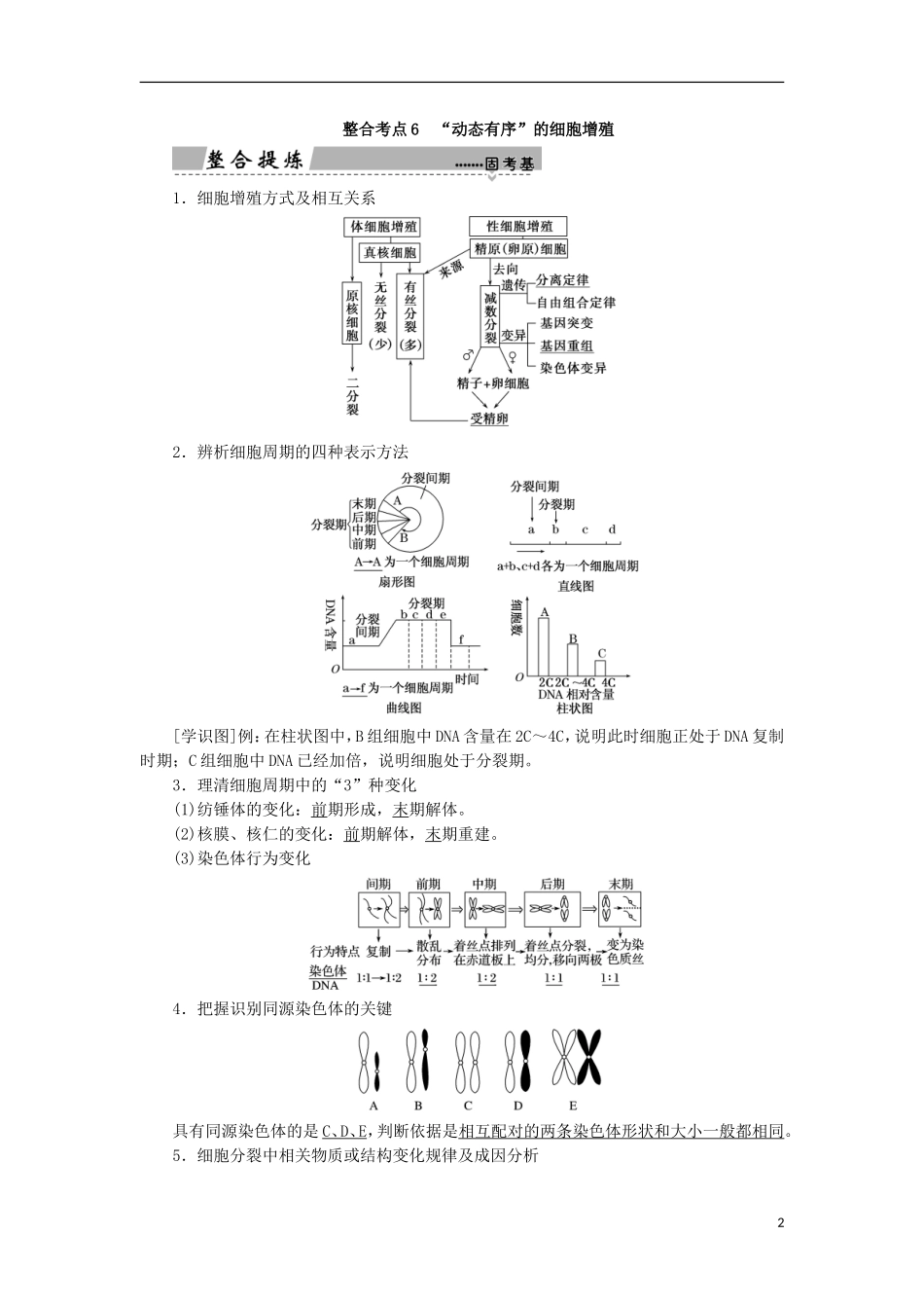 高考生物大二轮复习 第01部分 专题03 生命系统的延续 整合考点06“动态有序”的细胞增殖学案-人教版高三全册生物学案_第2页