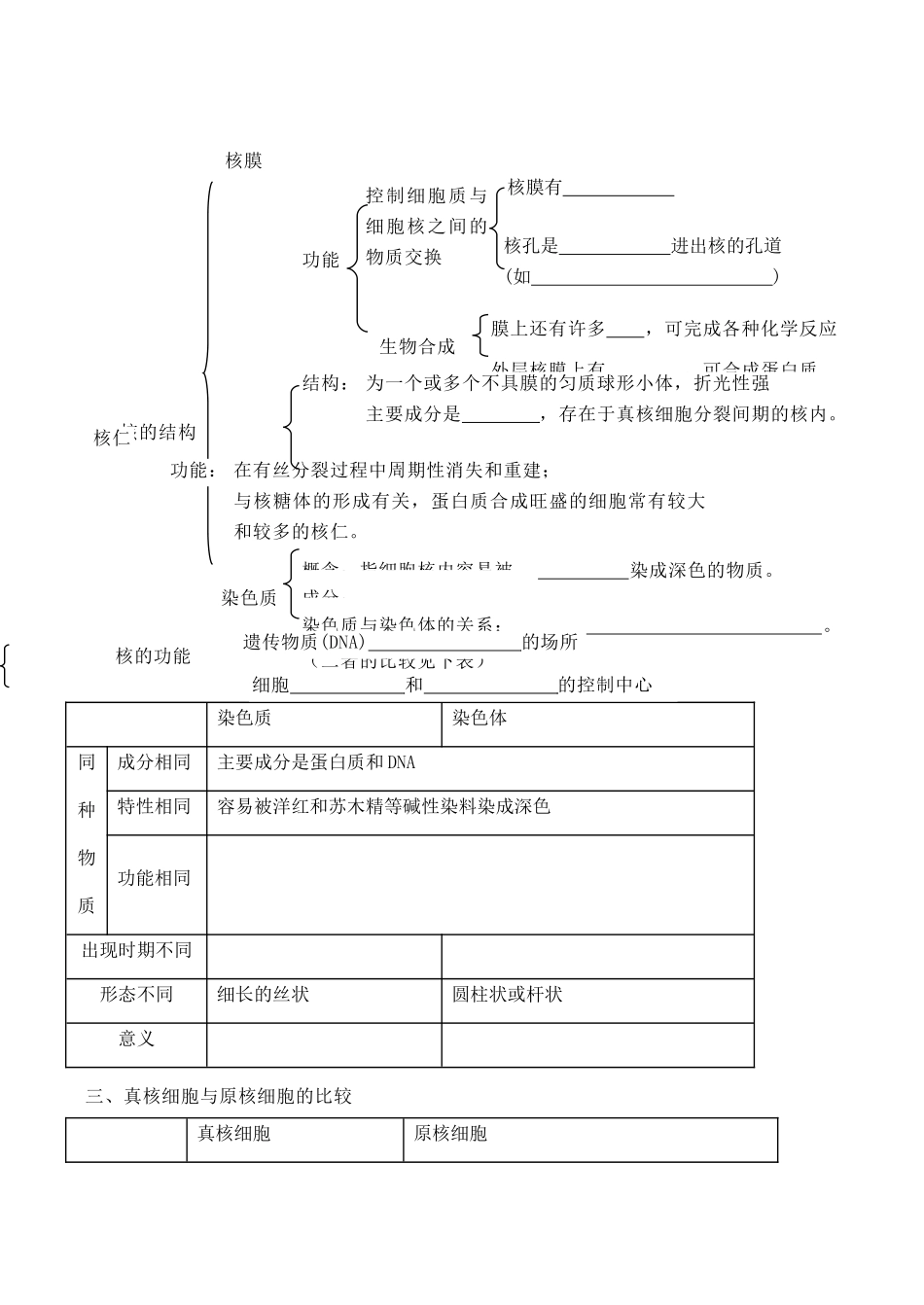 高考生物第一轮系列讲座 第3讲   生命的结构基础(二)_第3页