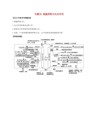 高考生物考 纲解读与热点难点突破 专题05 细胞呼吸与光合作用教学案-人教版高三全册生物教学案