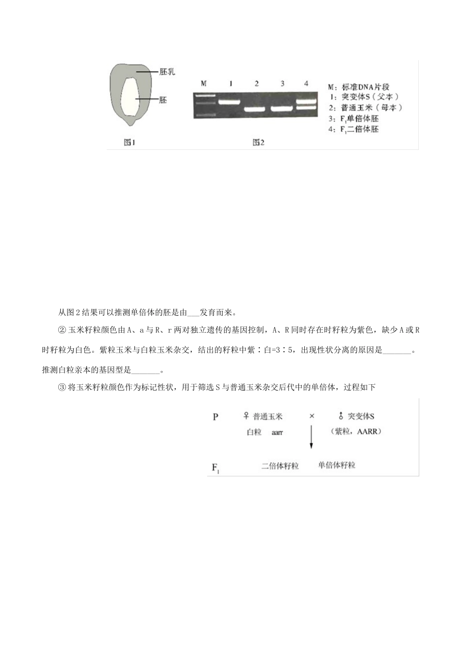 高考生物考 纲解读与热点难点突破 专题08 变异、进化与育种教学案-人教版高三全册生物教学案_第3页