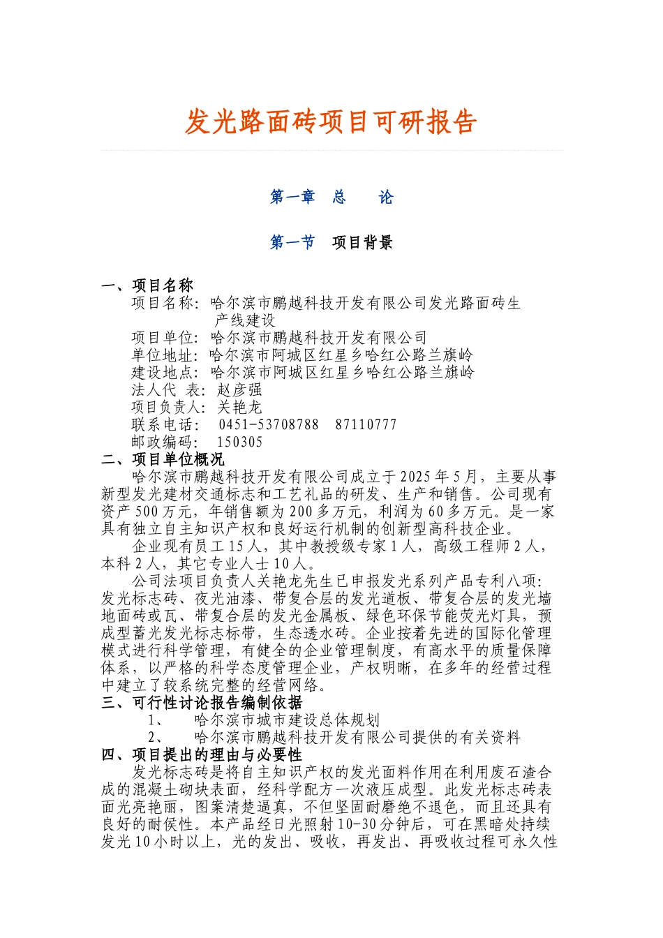 广水市发光路面砖项目可研报告_第2页