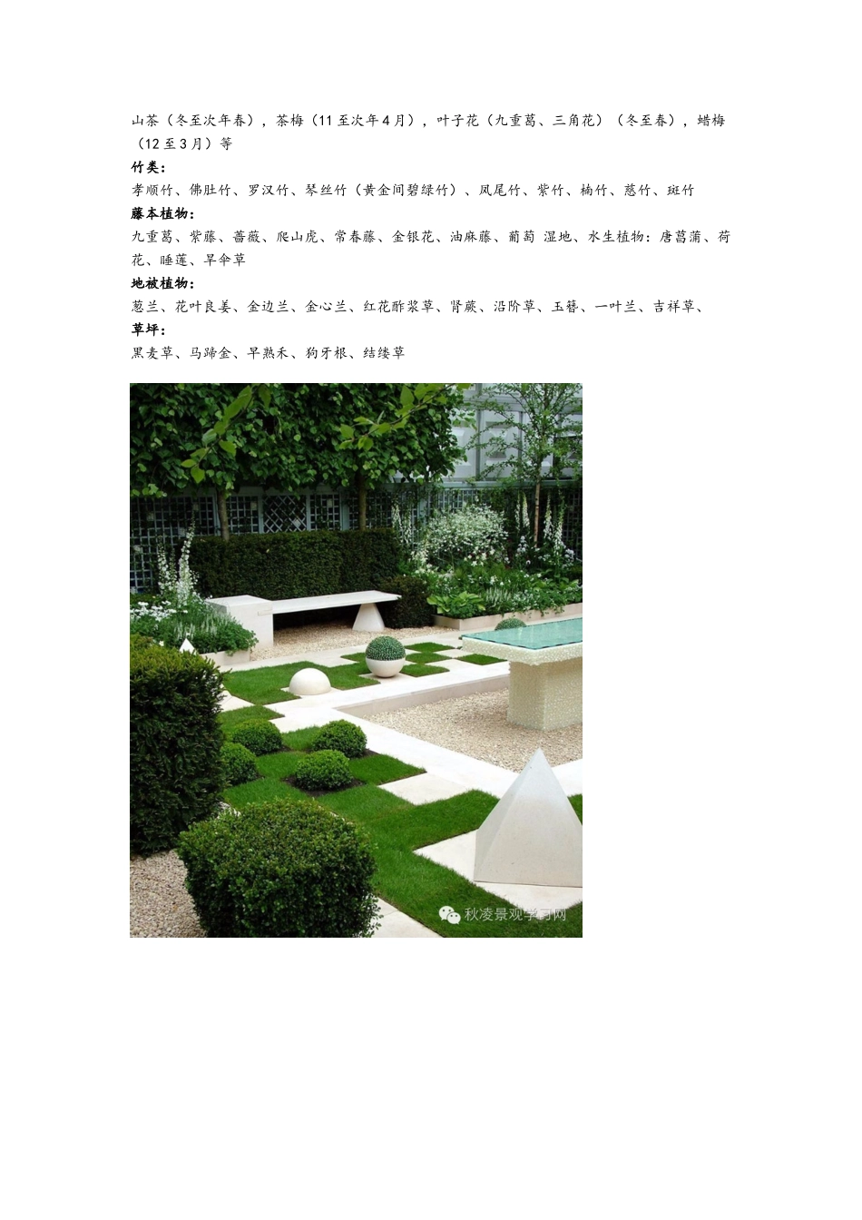 庭院常用植物_第2页