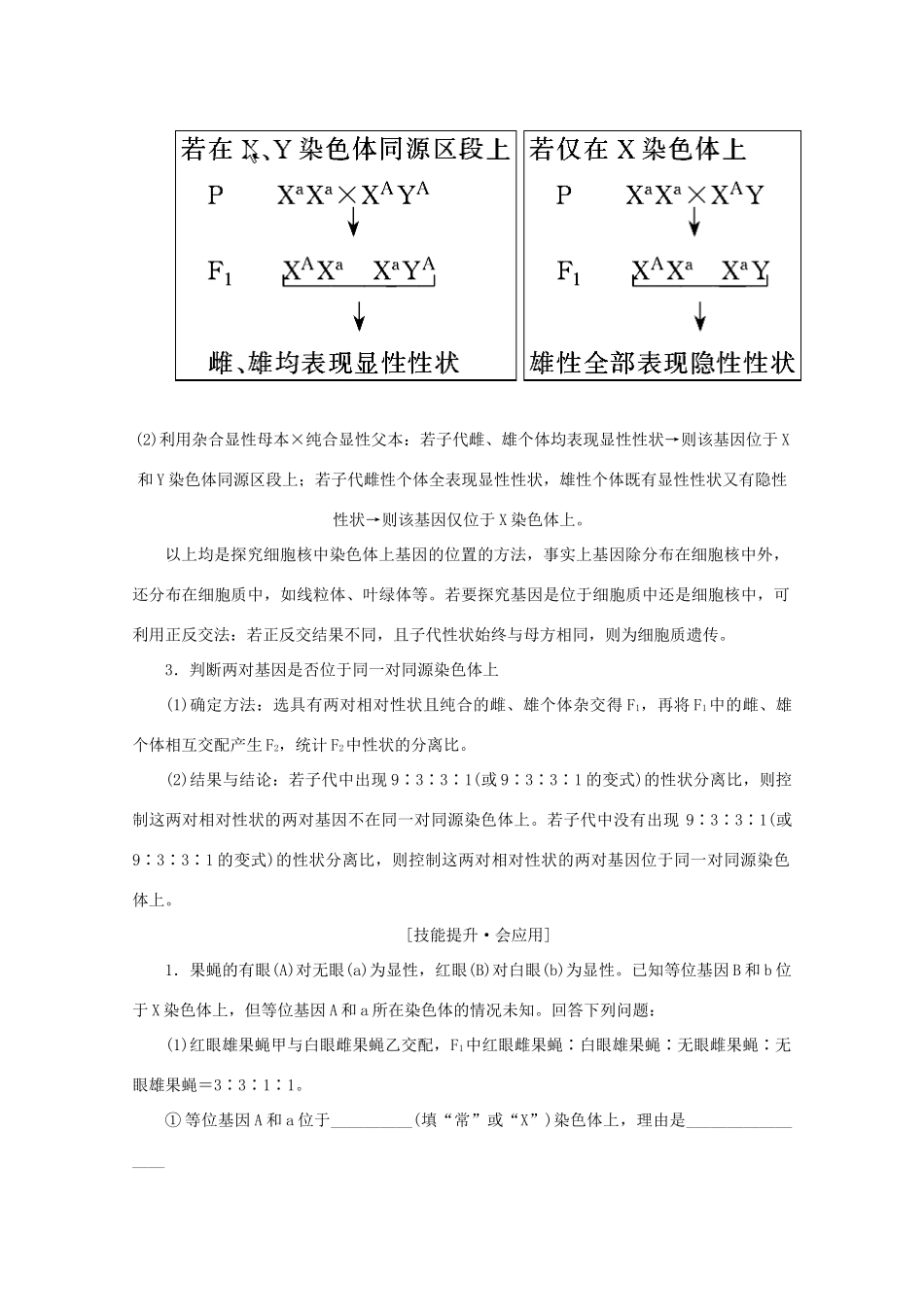 高考生物艺考生大二轮总复习 热点六 基因在染色体中的定位教学案-人教版高三全册生物教学案_第2页