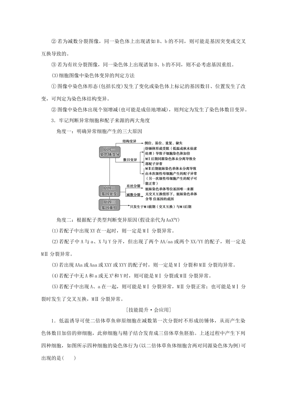 高考生物艺考生大二轮总复习 热点四 细胞异常分裂与变异教学案-人教版高三全册生物教学案_第2页