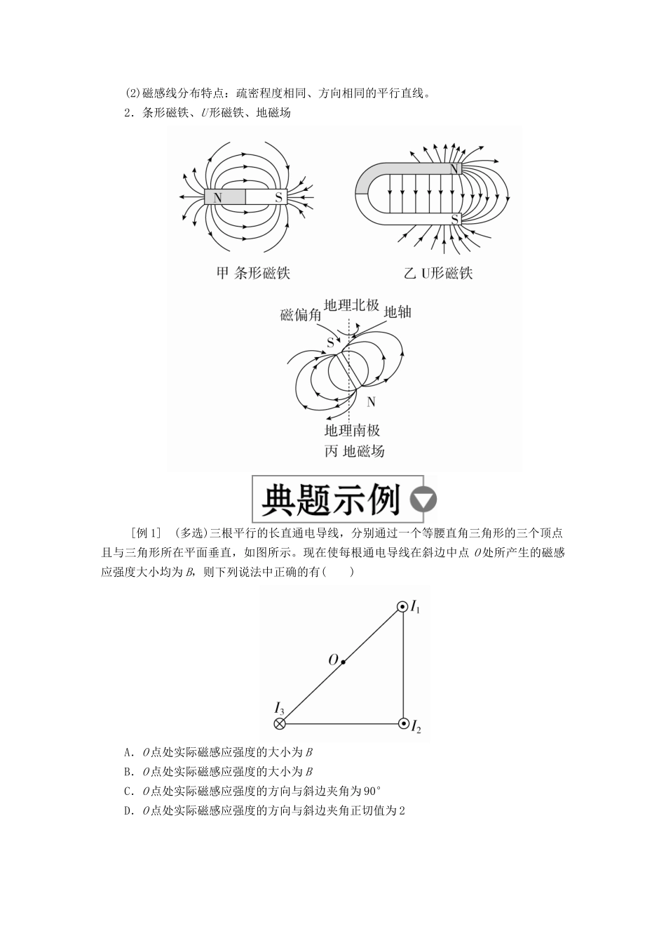 （全国版）高考物理一轮复习 第10章 磁场 第36课时 磁场及其对电流的作用学案-人教版高三全册物理学案_第2页