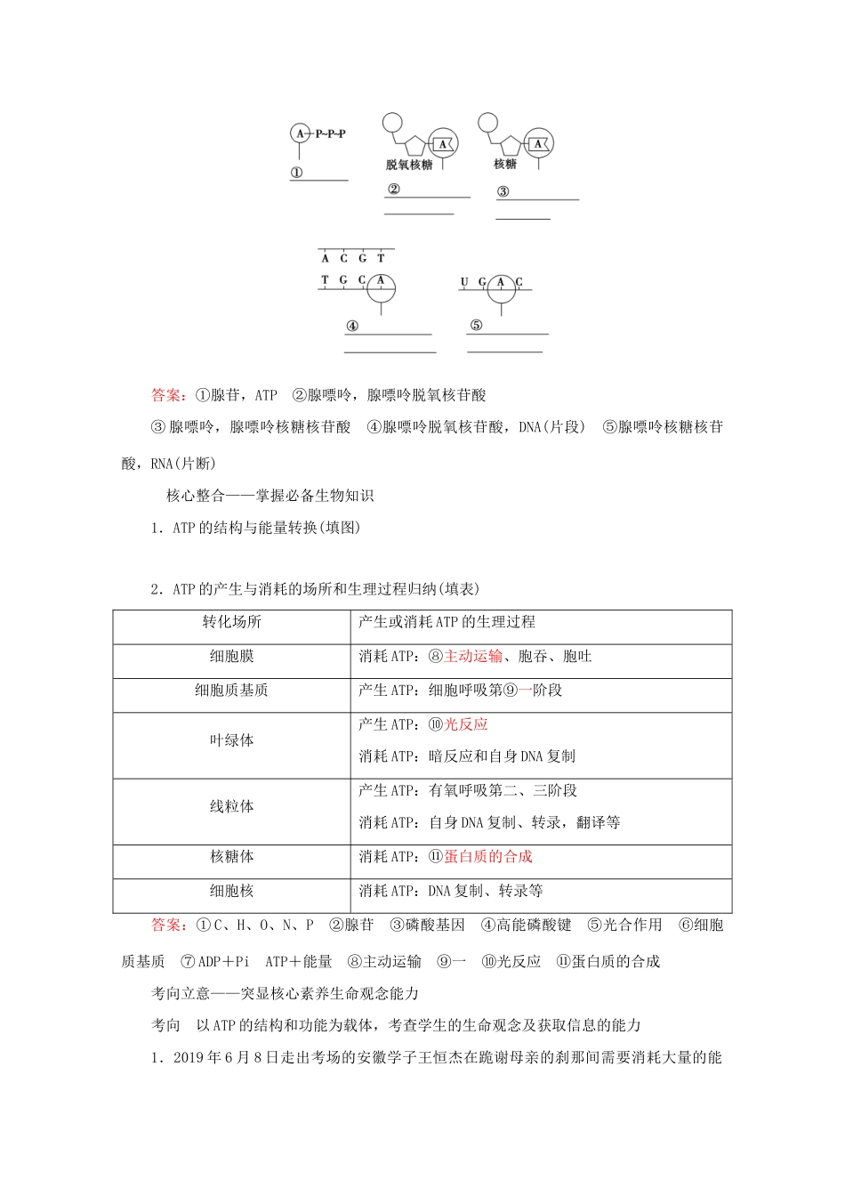 高考生物艺考生大二轮总复习 上篇 专题二 细胞的代谢 第3讲 酶和ATP 高频命题点2 ATP在细胞代谢中的作用教学案-人教版高三全册生物教学案_第2页
