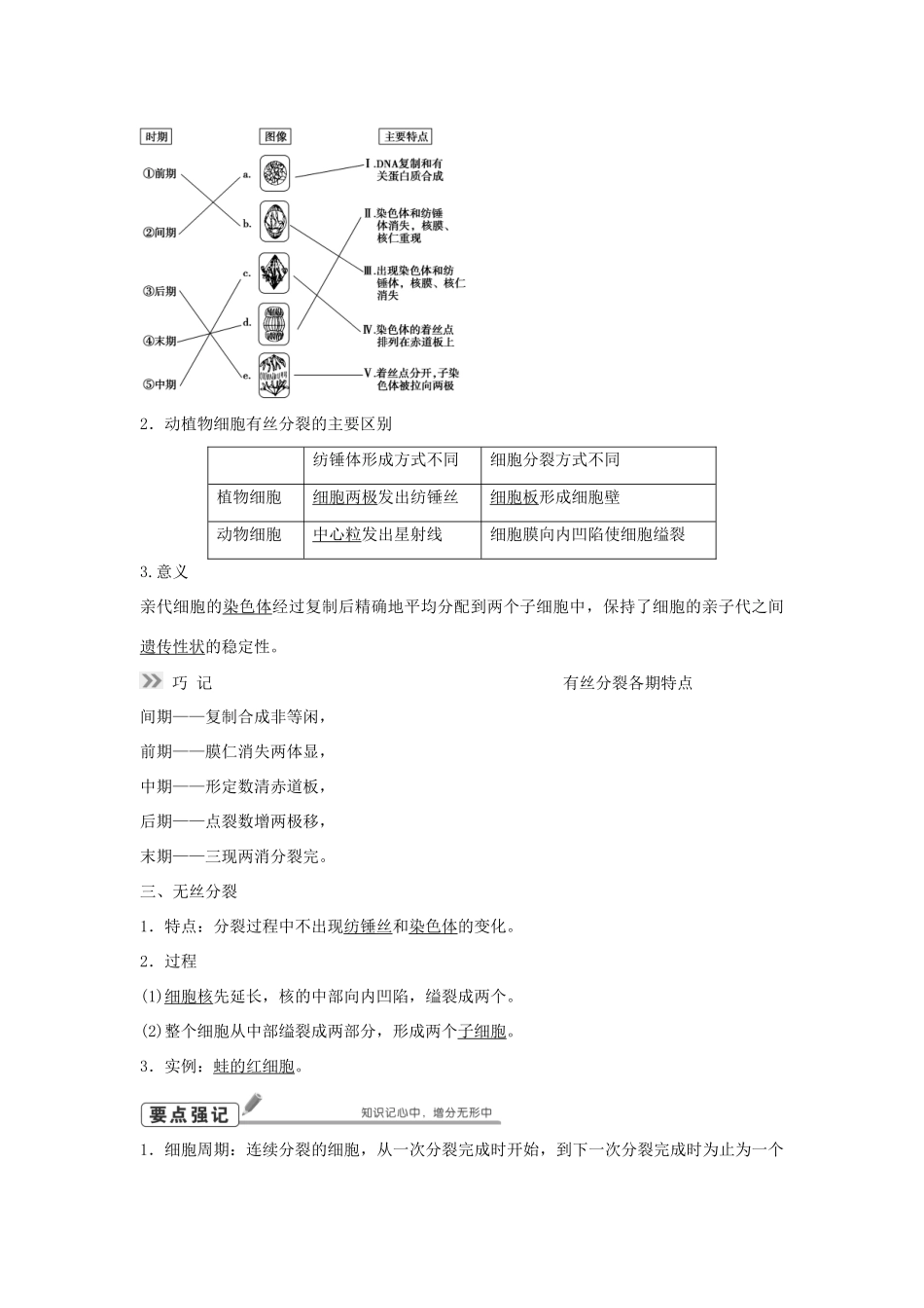 高考生物总复习 第4单元 第11讲细胞的增殖学案-人教版高三全册生物学案_第2页