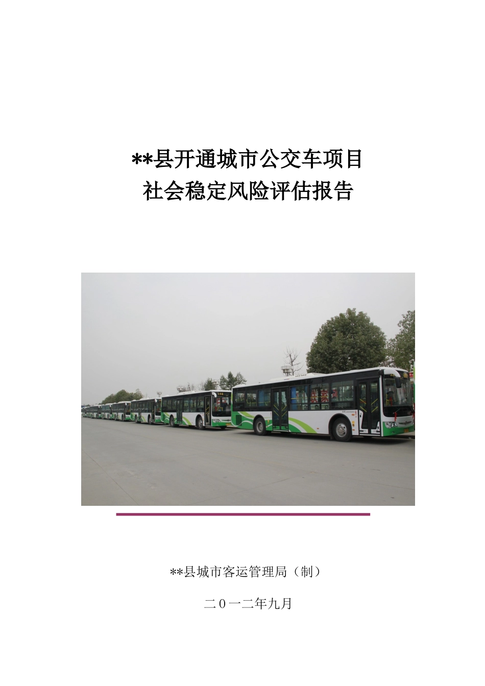 开通城市公交车项目社会稳定风险评估报告_第1页