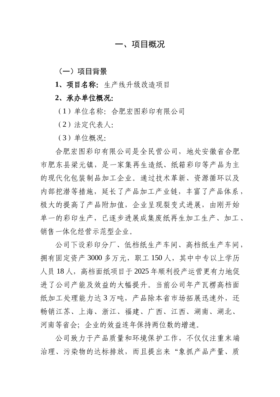 彩印公司生产线升级改造项目可研报告_第1页