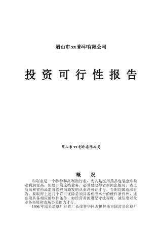 彩印有限公司投资可行性报告