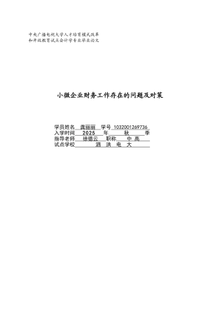 微小企业财务工作存在问题及对策--大学毕设论文