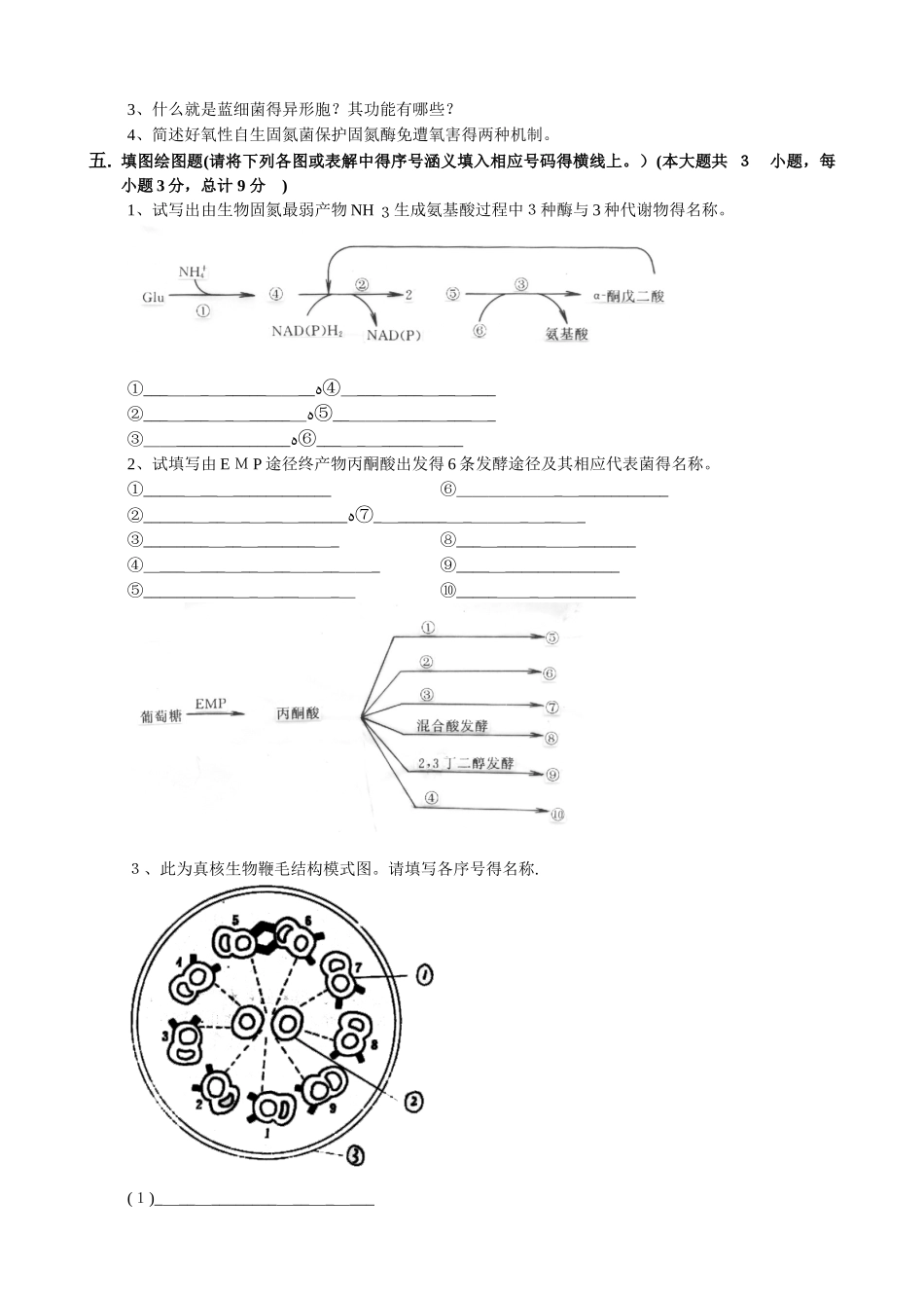 微生物学试卷4及答案_第3页